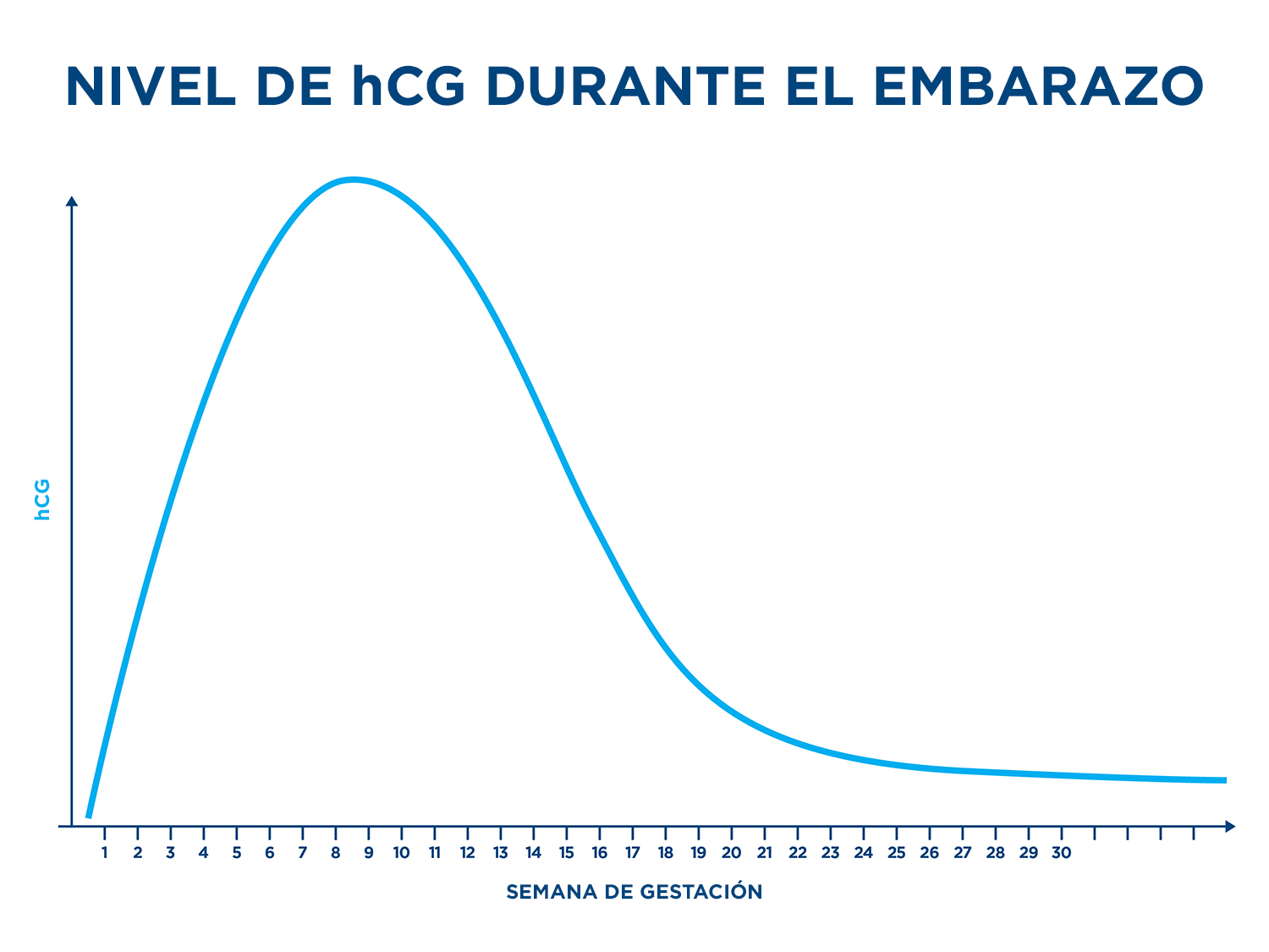 Un gráfico que muestra los niveles de hCG durante el embarazo con las semanas de gestación en el eje xy los niveles de hCG en el eje y.